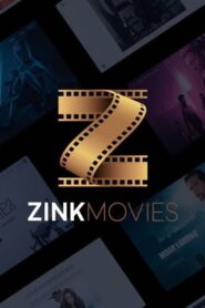 SHAHRUKH KHAN MOVIES COLLECTION 1080P WEBDL X 264